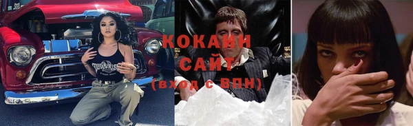 ГАЛЛЮЦИНОГЕННЫЕ ГРИБЫ Гусев