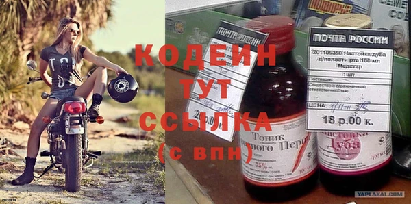 ГАЛЛЮЦИНОГЕННЫЕ ГРИБЫ Гусев
