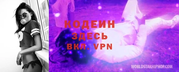 ГАЛЛЮЦИНОГЕННЫЕ ГРИБЫ Гусев