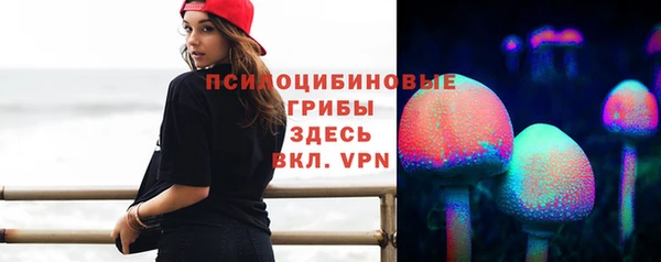 синтетический гашиш Гусиноозёрск