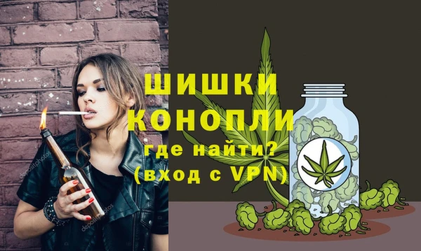 ГАЛЛЮЦИНОГЕННЫЕ ГРИБЫ Гусев