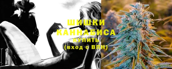 ГАЛЛЮЦИНОГЕННЫЕ ГРИБЫ Гусев