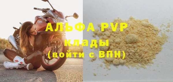 ГАЛЛЮЦИНОГЕННЫЕ ГРИБЫ Гусев