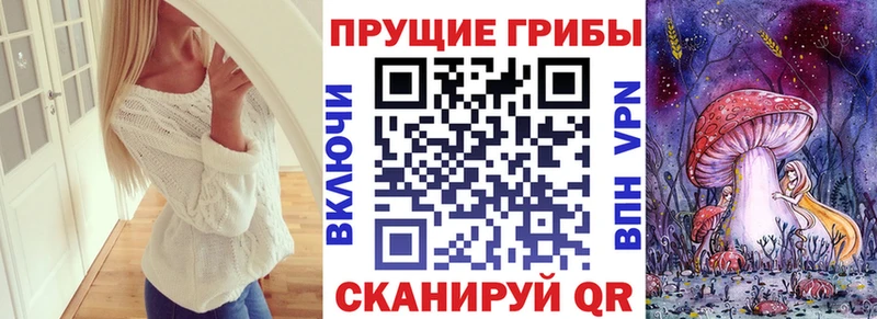 Псилоцибиновые грибы Cubensis  Купить  Шумерля 